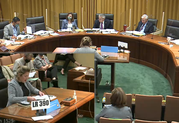 Woman testifying before legislative committee