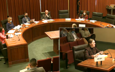 FFN testifies at LR221 hearing on maternal and infant mortality and morbidity